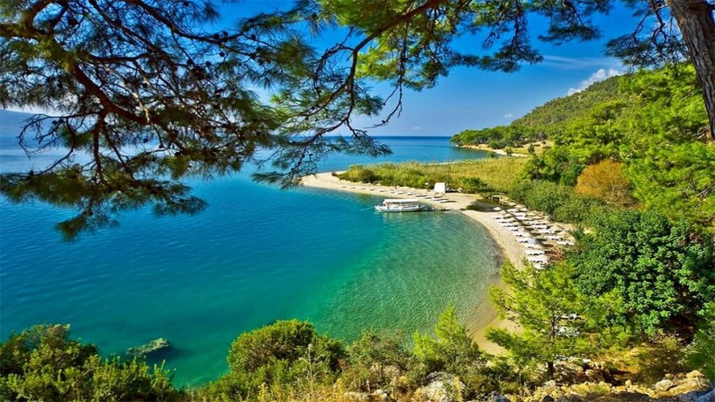 TOKİ'NİN EN PRESTİJLİ ARSA İHALELERİNE KATILIM ARSAM'LA KATIL